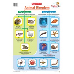 Animal Kingdom Chart